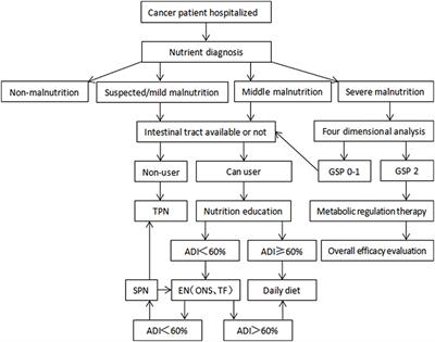 Dynamic changes in the body composition during chemotherapy for gastrointestinal tumors in the context of active nutrition intervention